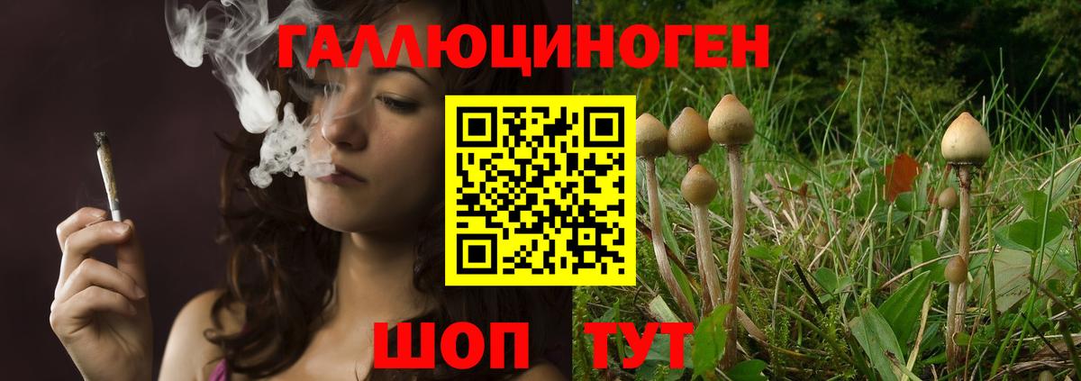 Галлюциногенные грибы прущие грибы Шебекино